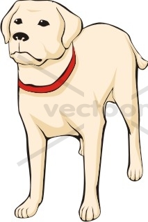 Cartoon Golden Labrador