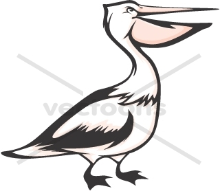 Serious Pelican - Animals - Buy Clip Art | Buy Illustrations Vector ...