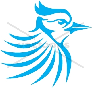 Beautiful blue jay bird Royalty Free Vector Image