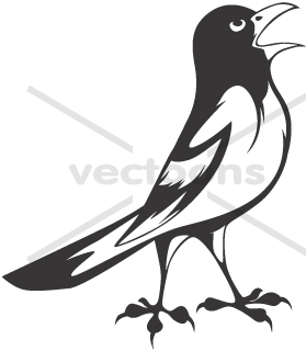 Stock Art Drawing of an Altamira Oriole